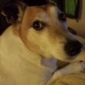 Meet your Posher, Ann